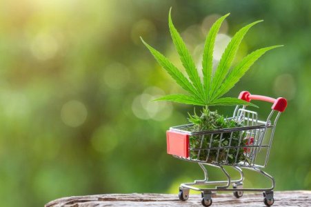 cannabis-leaves-and-shoots-placed-in-a-shopping-cart_1150-19252.jpg cannabis-leaves-and-shoots-placed-in-a-shopping-cart_1150-19252.jpg