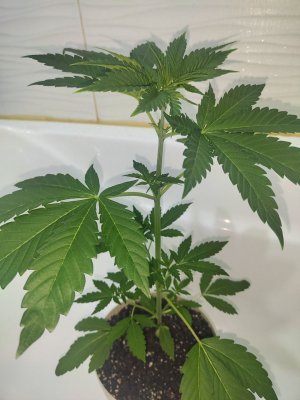 photo_2024-11-18_18-49-04 (4).jpg