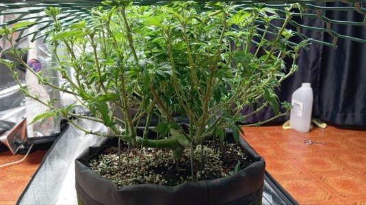 photo_2025-02-28_16-27-46 (3).jpg