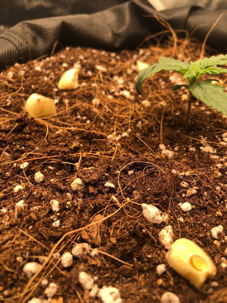 загибается 1.jpg