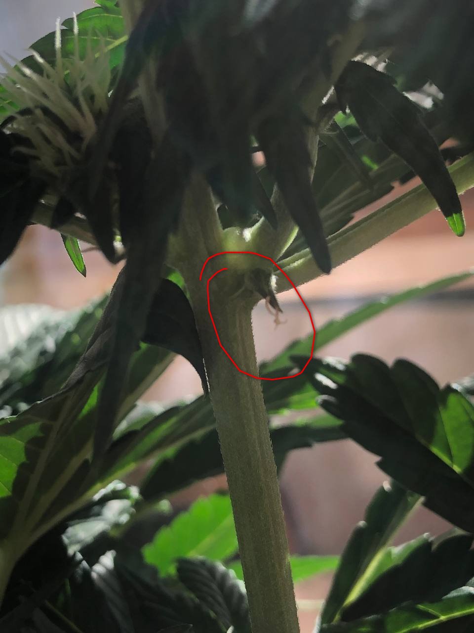 photo_2022-04-13_08-21-10 — копия.jpg