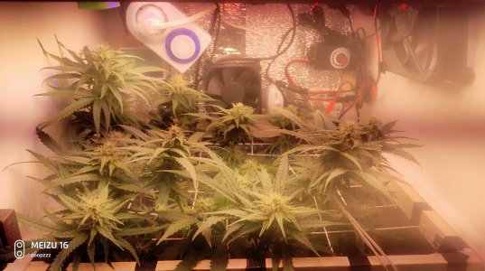 2025-05-11 140603.jpg