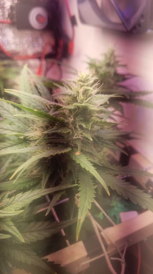 2025-05-16 160215.jpg