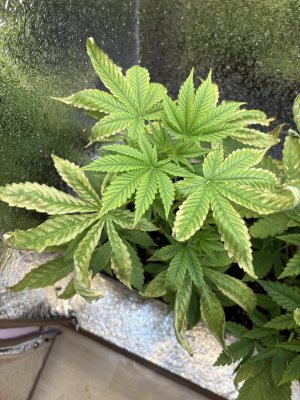 2025-06-01 10.52.31.jpg