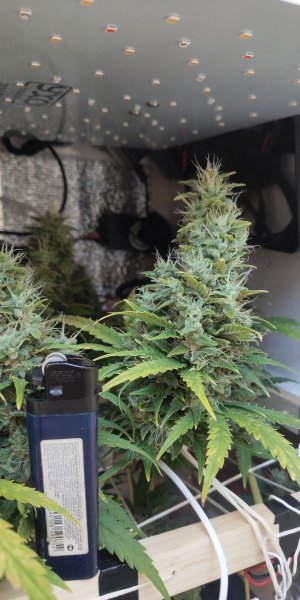 P50608-195947 (1).jpg