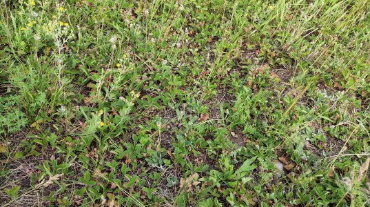 P50610-174713 (1).jpg