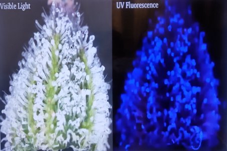 P50610-221010(1) (1).jpg