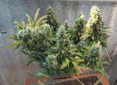 P50618-191330(1) (2).jpg