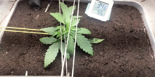 P50713-172439 (1).jpg