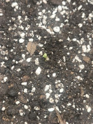 photo_2025-07-17_10-15-46 (2).jpg