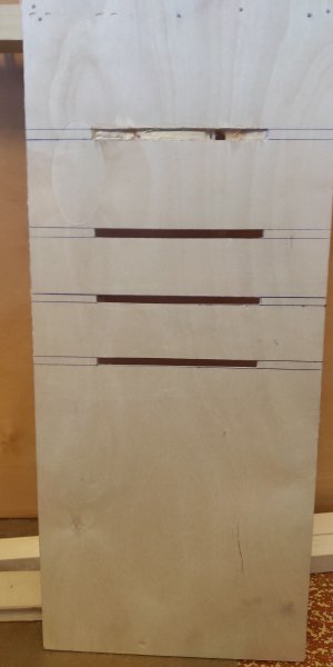 P50722-202734 (1).jpg