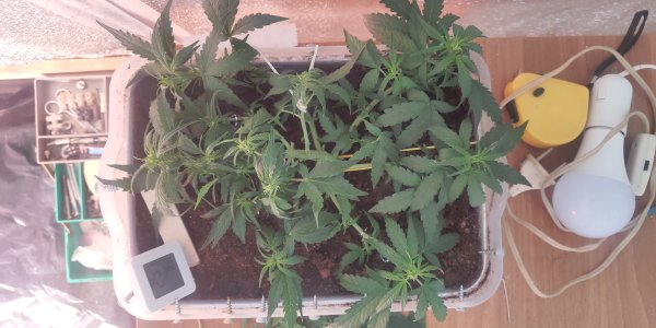 P50726-074852 (1).jpg