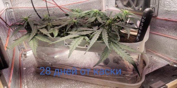 P50728-091041 (1)(1).jpg