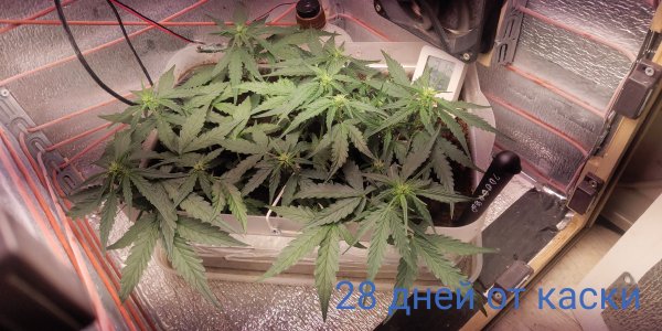 P50728-091035 (1)(1).jpg