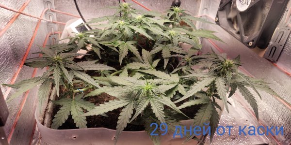 P50729-094935(1) (1).jpg