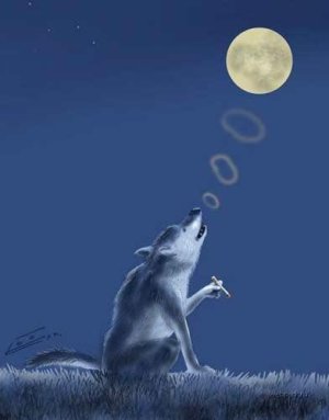 5c8cf99445d2a08af415666c (1).jpg