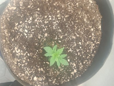 photo_2025-07-31_07-51-31 (2).jpg