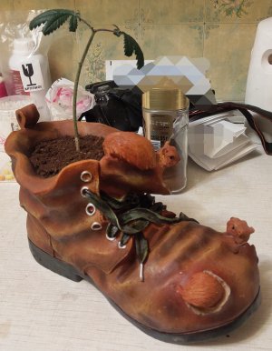 P50731-233609 (1)(1)(1)(1)(1).jpg