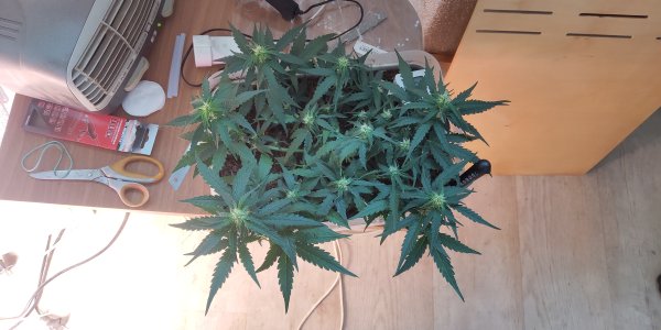 P50801-184406 (1).jpg