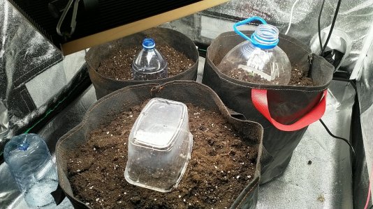 IMG_20220423_210142_219.jpg IMG_20220423_210142_219.jpg