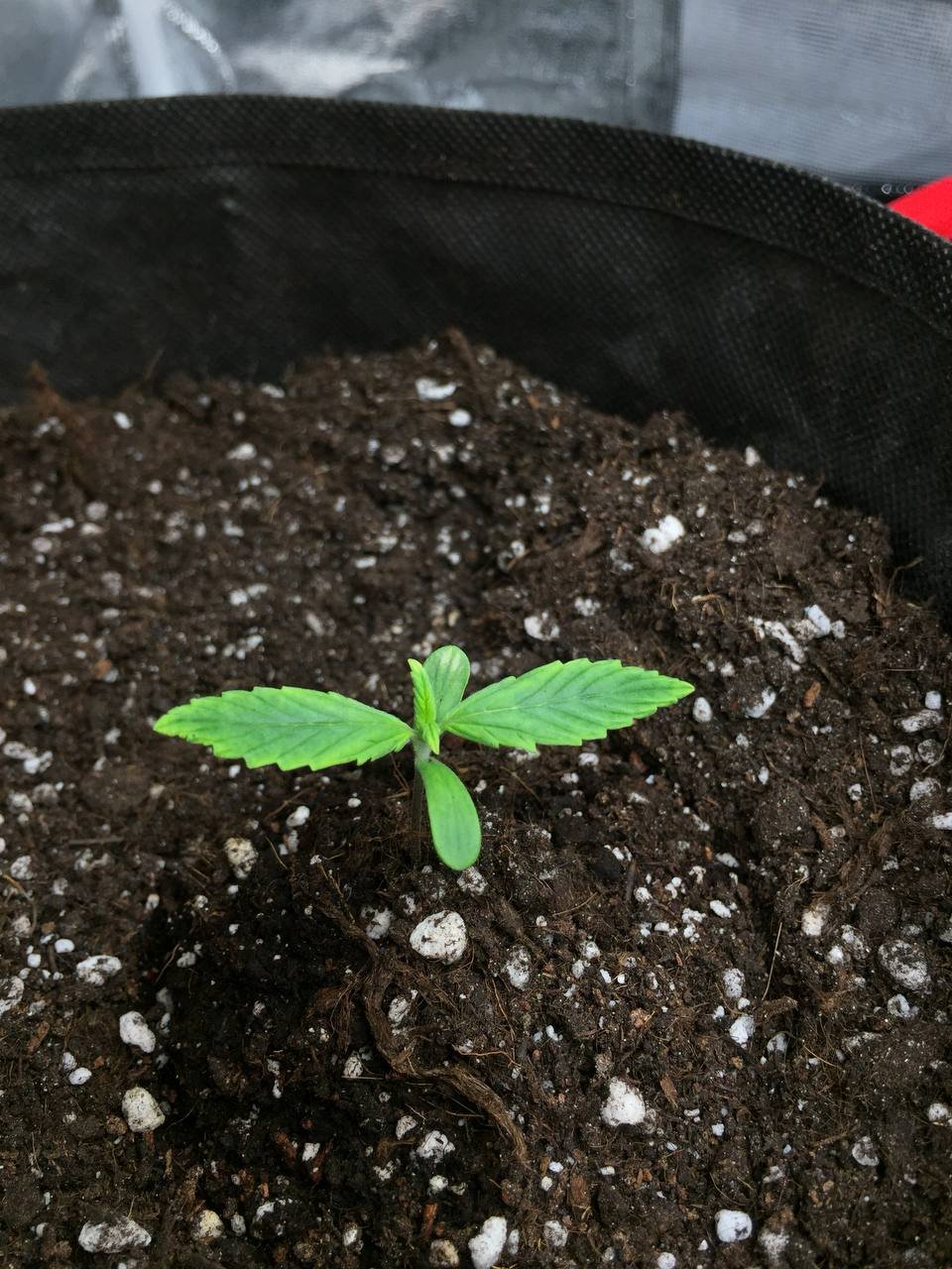 IMG_20220428_182554_318.jpg IMG_20220428_182554_318.jpg