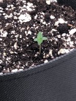 15.06.25 — копия.jpg