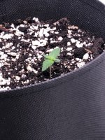 17.06.25 — копия.jpg