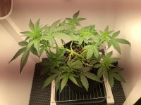 07.07.25 — копия.jpg