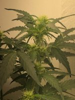 14.07.25 (3) — копия.jpg