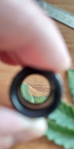 P50819-171732 (1).jpg