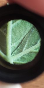 P50819-172032 (1).jpg