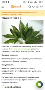 S50821-08185198.png S50821-08185198.png