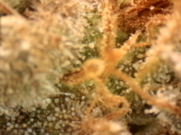 Photo_2025-09-05 06_35_16_473.png