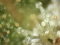 Photo_2025-09-10 06_46_05_705.png