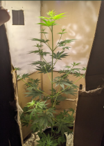 Снимок экрана 2025-09-10 154101.png