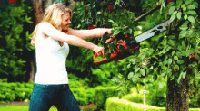 gardener-expert.gif