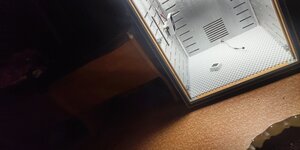 P50924-200134 (1).jpg