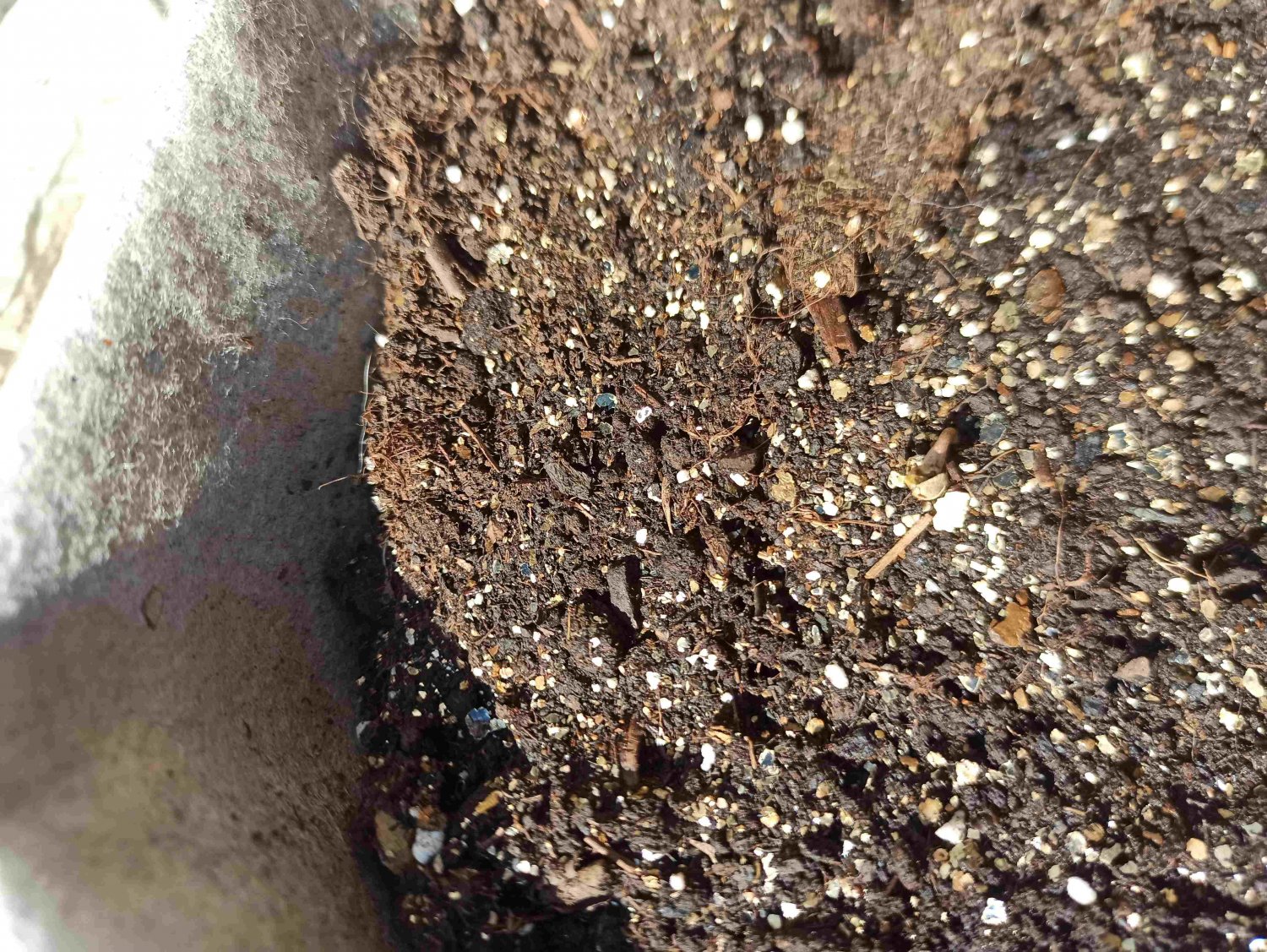 IMG_20220513_094535 (1).jpg