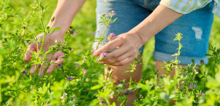 1763500418215.png 1763500418215.png