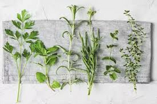 1763500733453.png 1763500733453.png