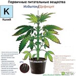 IMG_20230629_171444_121 3.jpg