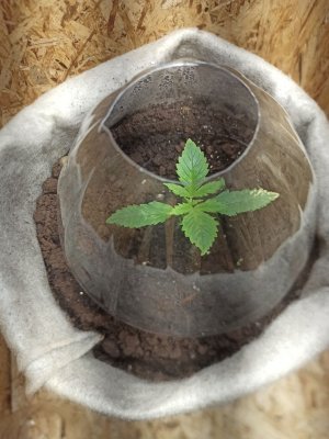 photo_2022-05-22_15-26-32 (2).jpg