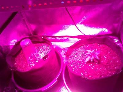 IMG_2022-05-26-06-12-50-152 (1).jpg