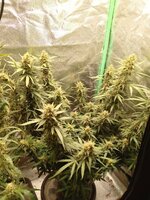 photo_2026-01-19_22-34-21 (2).jpg