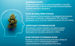 Vidy-golovnyh-bolej-ot-kannabisa__7iY3OvPnE0UPnqWK.jpg