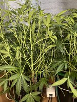 4 — копия.jpg