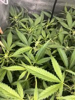 4 — копия.jpg