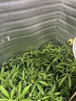 2 — копия.jpg