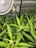 5 — копия.jpg