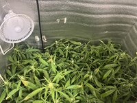 1.1 — копия.jpg